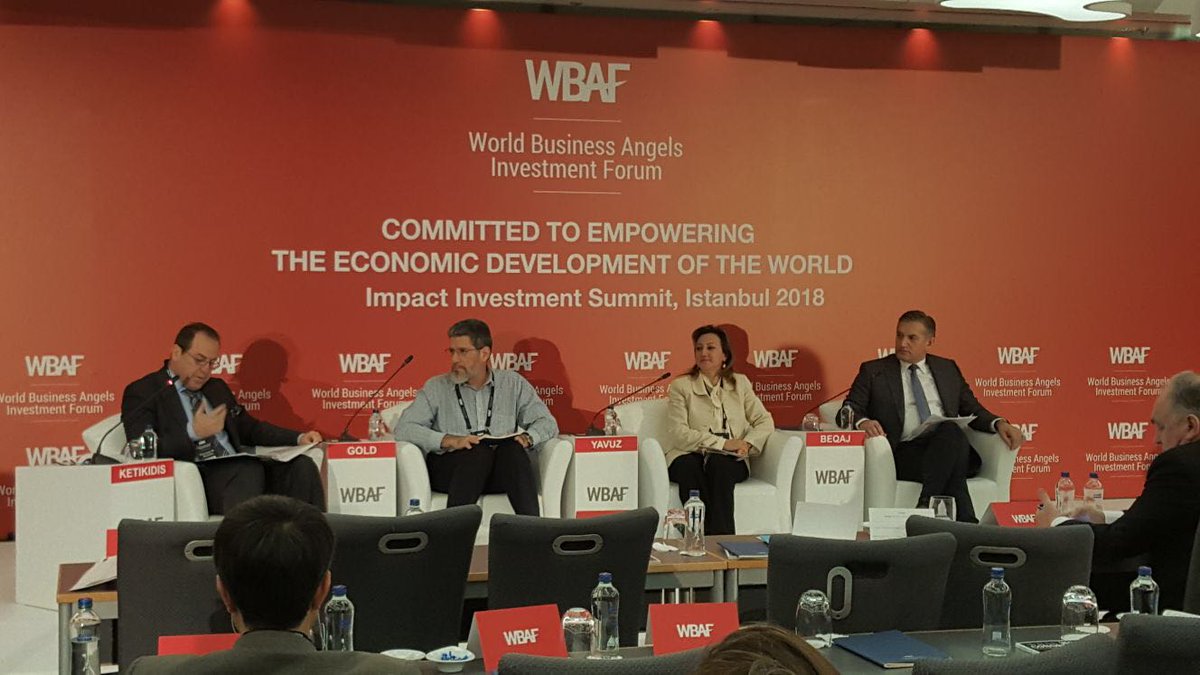 Özgül hanım PANEL.jpg